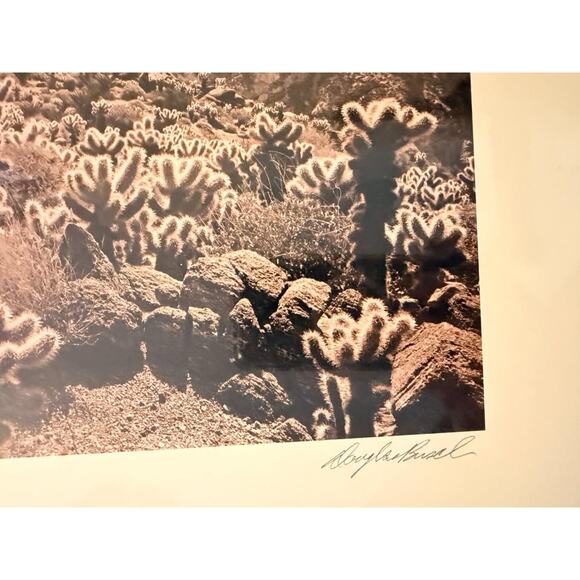 Douglas I. Busch Palm Springs, CA Collotype Print Poster Signed - Picture 3 of 7